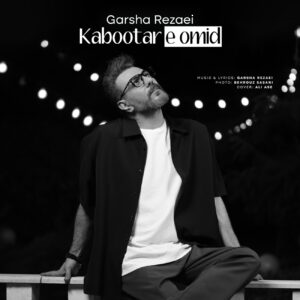 دانلود آهنگ گرشا رضایی به نام کبوتر امید